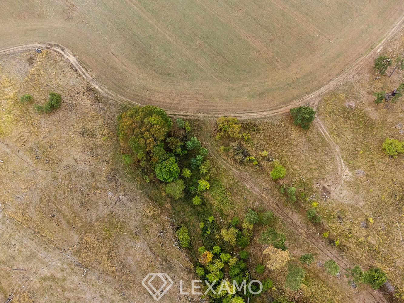 Prodej lesa 3 047 m² – fotografie 5