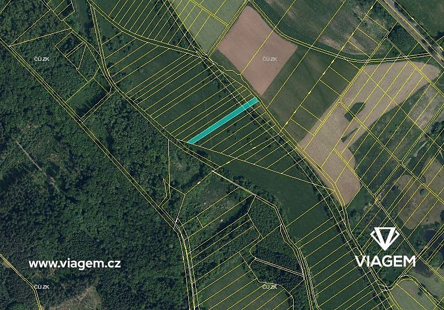 Prodej pole 1 693 m² – fotografie 3