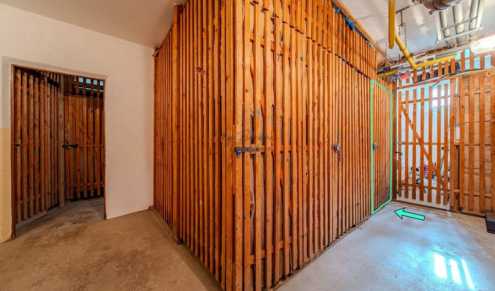 Prodej bytu 3+1 74 m², Dobřany – náhled fotky 19