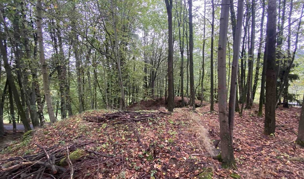 Prodej stavebního pozemku 3 849 m², Benešov nad Černou – náhled fotky 7