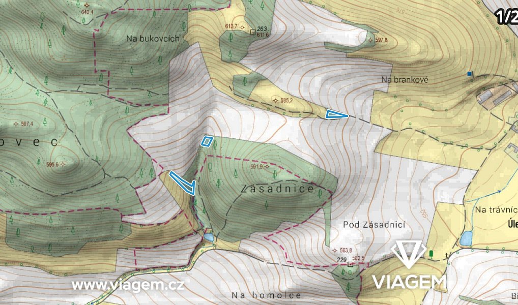 Prodej pole 1 144 m², Předslavice – náhled fotky 3