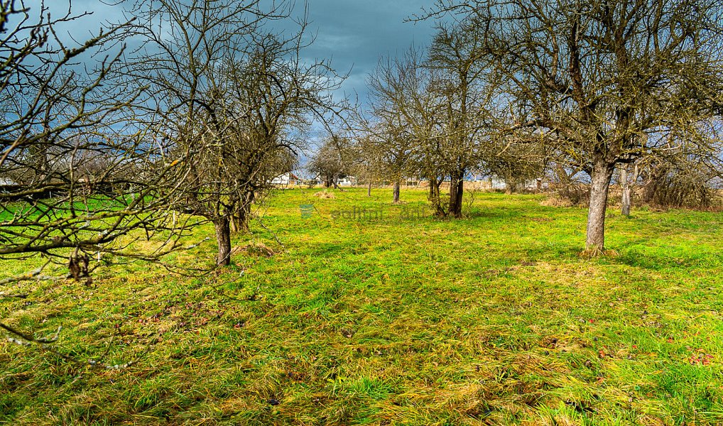 Prodej stavebního pozemku 1 515 m², Stádlec – náhled fotky 9