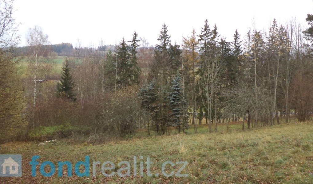 Prodej pole 10 224 m², Zdíkov – náhled fotky 2