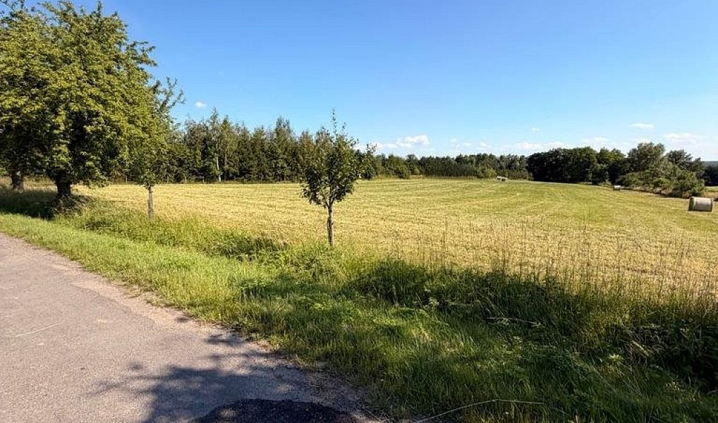 Prodej stavebního pozemku 1 280 m², Kobylnice – náhled fotky 3
