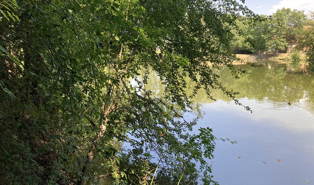 Prodej domu 130 m², Nupaky – náhled fotky 51
