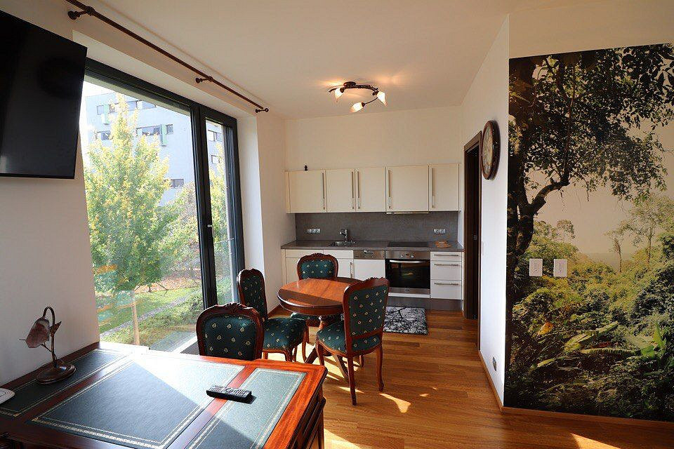 Pronájem bytu 1+kk 36 m²