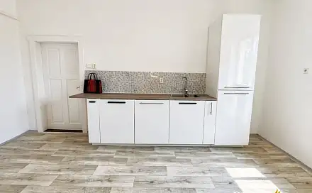 Pronájem bytu 1+kk 43 m²