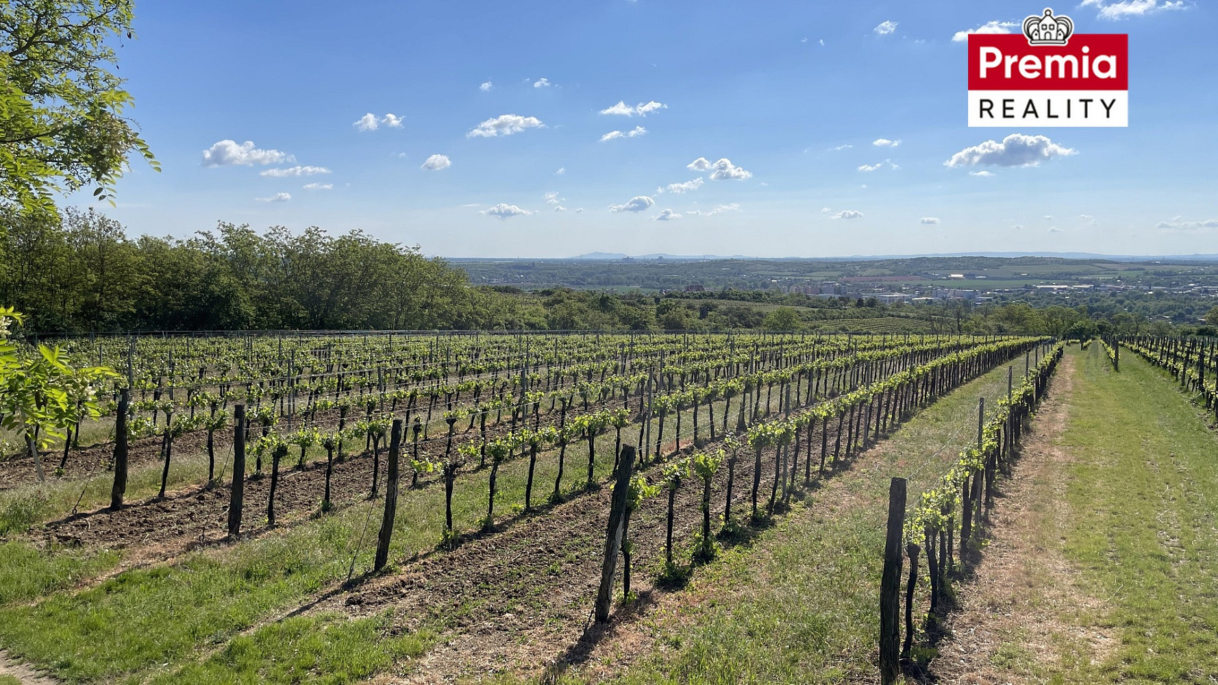 Prodej pole 86 440 m²
