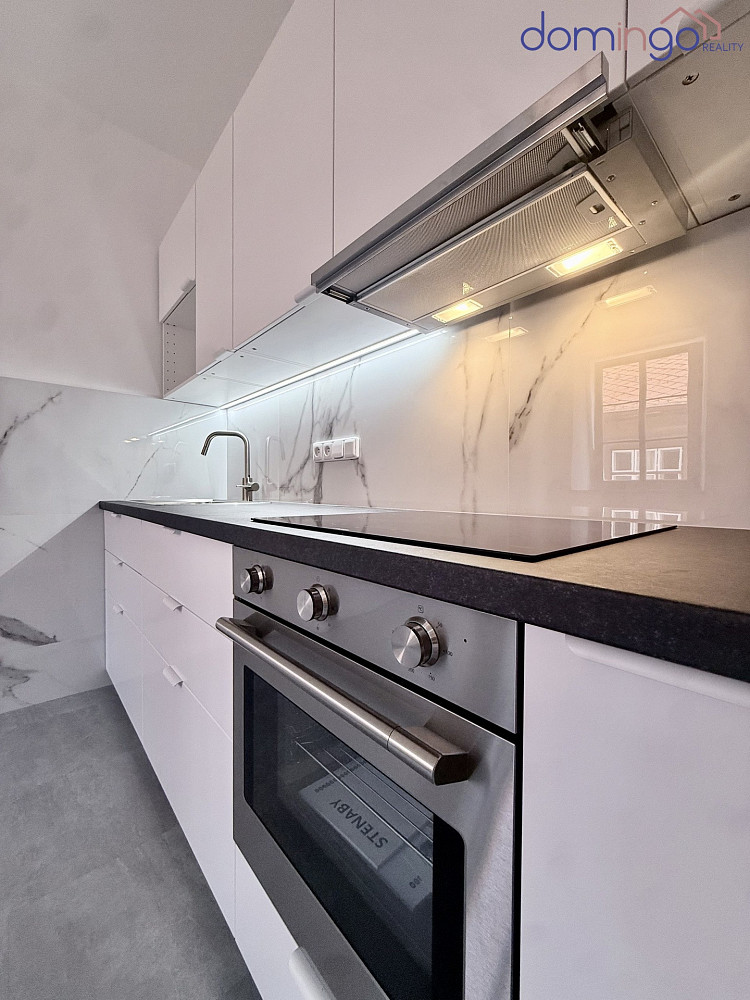 Pronájem bytu 1+1 54 m² – fotografie 3