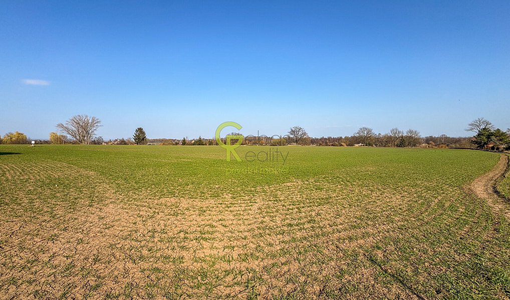 Prodej komerčního pozemku 11 770 m², Předměřice nad Labem – náhled fotky 9