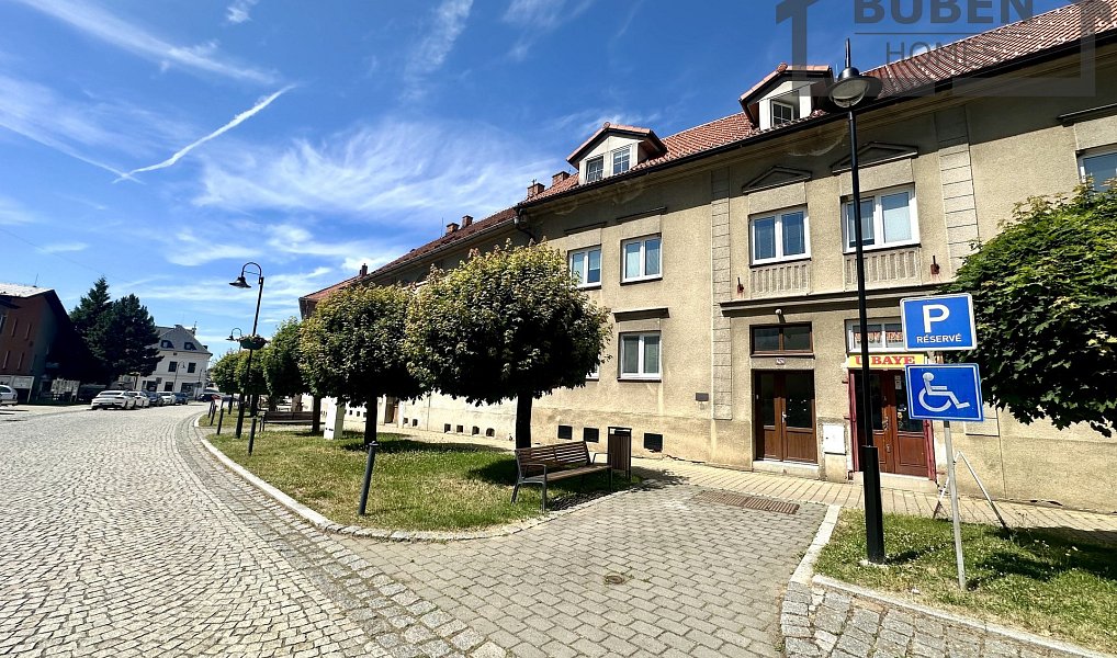 Pronájem bytu 2+1 57 m², Bor – náhled fotky 4