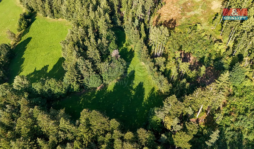Prodej lesa 15 707 m², Petrovice u Sušice – náhled fotky 23