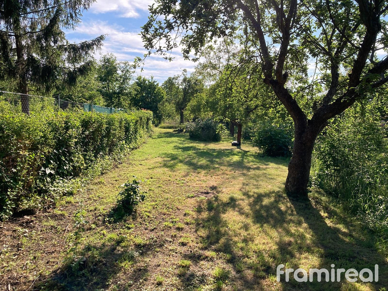 Fotka 13 z 16