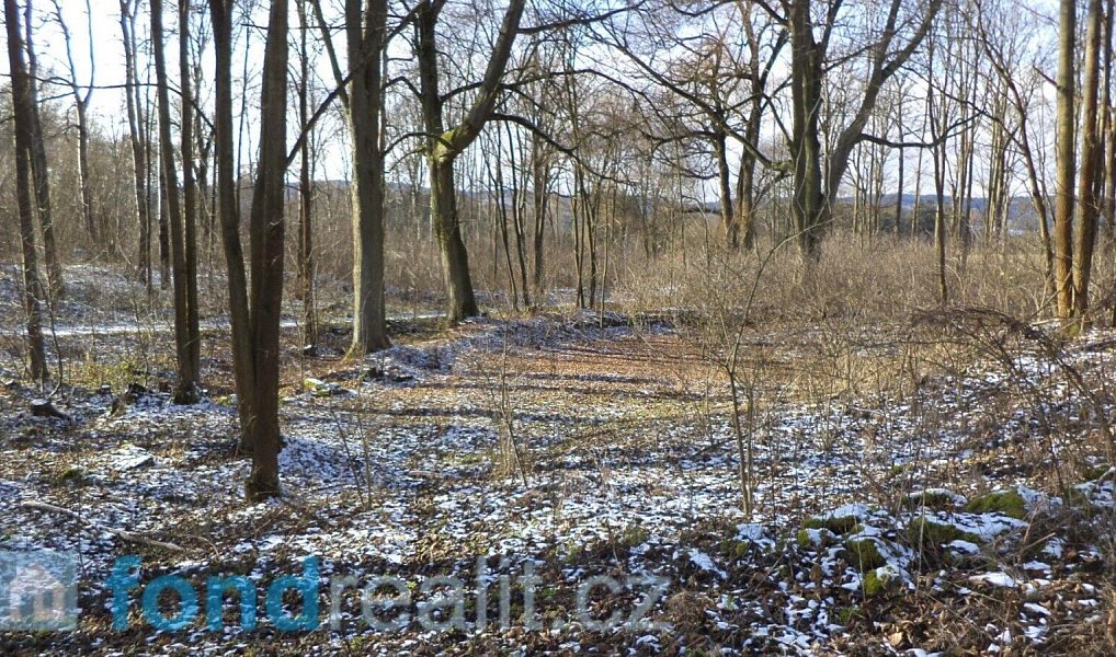 Prodej pozemku 3 575 m², Staré Město pod Landštejnem – náhled fotky 6
