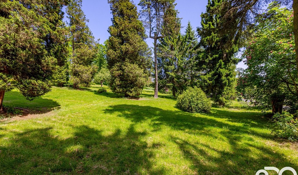 Prodej domu 680 m² s pozemkem 5 000 m², Cvikov – náhled fotky 16