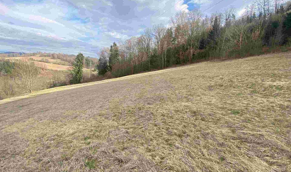 Prodej pole 9 517 m², Semily – náhled fotky 3