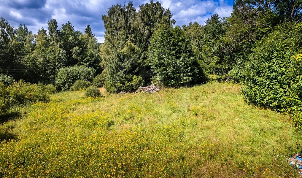 Prodej stavebního pozemku 1 122 m², Přední Výtoň – náhled fotky 6