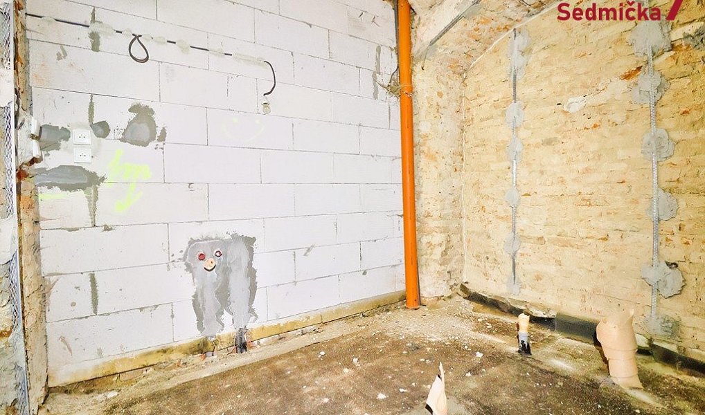 Prodej domu 110 m² s pozemkem 2 460 m², Šlapanov – náhled fotky 22