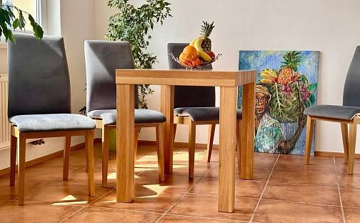 Prodej bytu 6+kk 152 m², Na Farkáně III, Praha 5 - Radlice