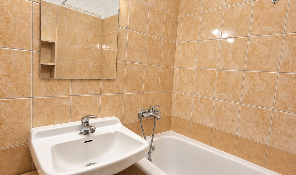 Prodej bytu 2+1 55 m², Praha – náhled fotky 15