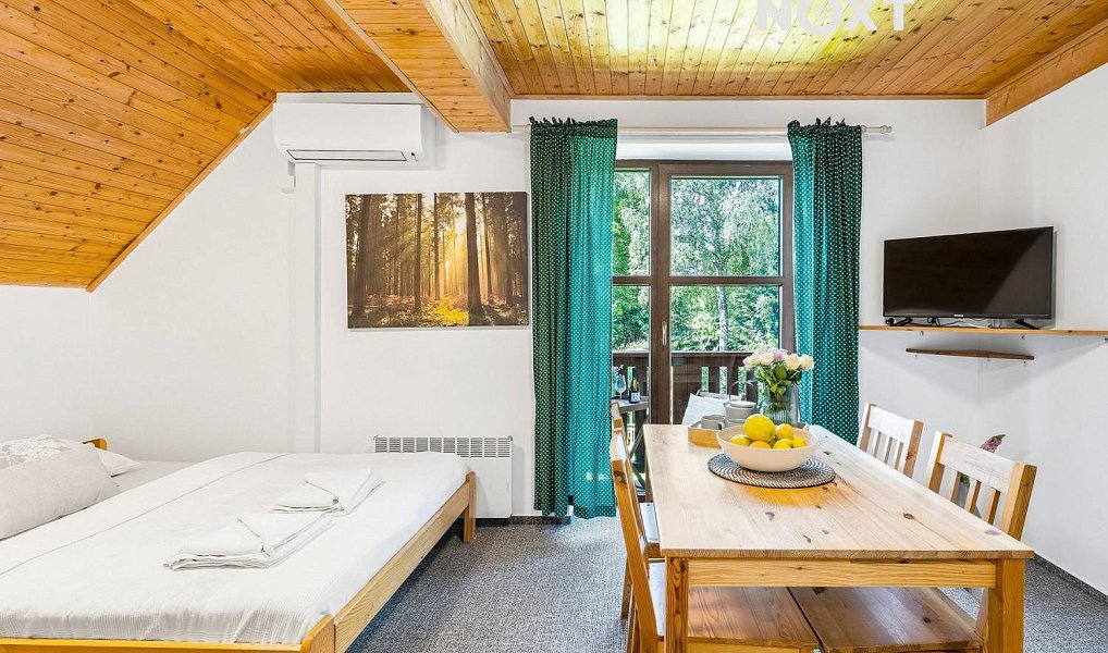 Prodej bytu 1+kk 26 m², Kubova Huť – náhled fotky 5