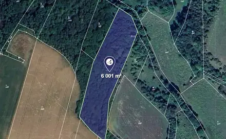 Prodej lesa 6 001 m², Vysoká, okres Mělník