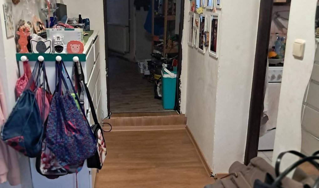 Prodej domu 60 m² s pozemkem 220 m², Brno – náhled fotky 8
