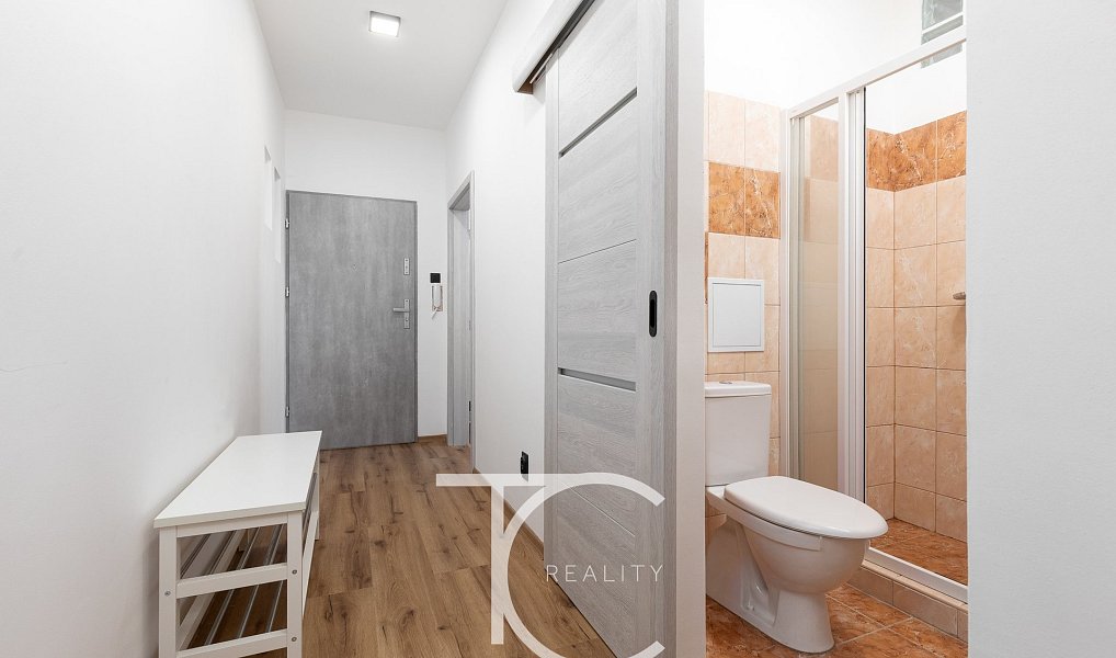 Pronájem bytu 2+kk 45 m², Ostrava – náhled fotky 8