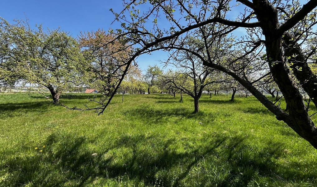Prodej pozemku 7 559 m², Horní Újezd – náhled fotky 12