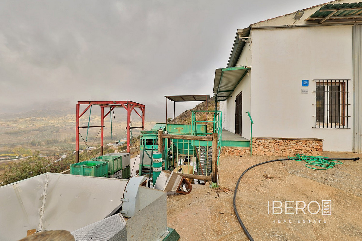 Prodej domu 239 m² s pozemkem 37 000 m² — photo 4