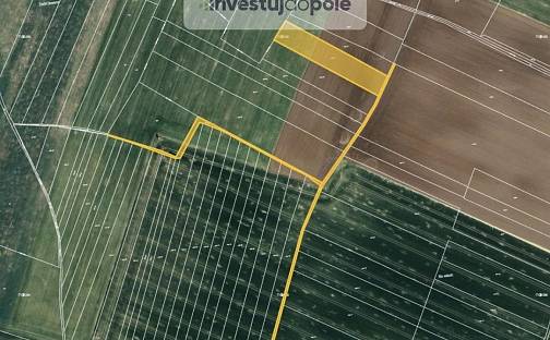 Prodej pole 1 530 m², Klešice, okres Chrudim