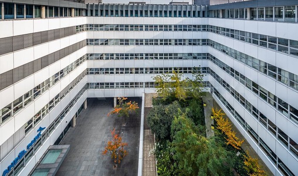 Pronájem kanceláře 800 m², Praha – náhled fotky 12