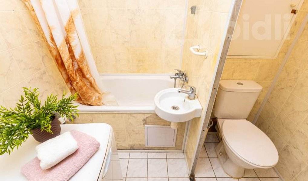Prodej bytu 2+kk 47 m², Praha – náhled fotky 14