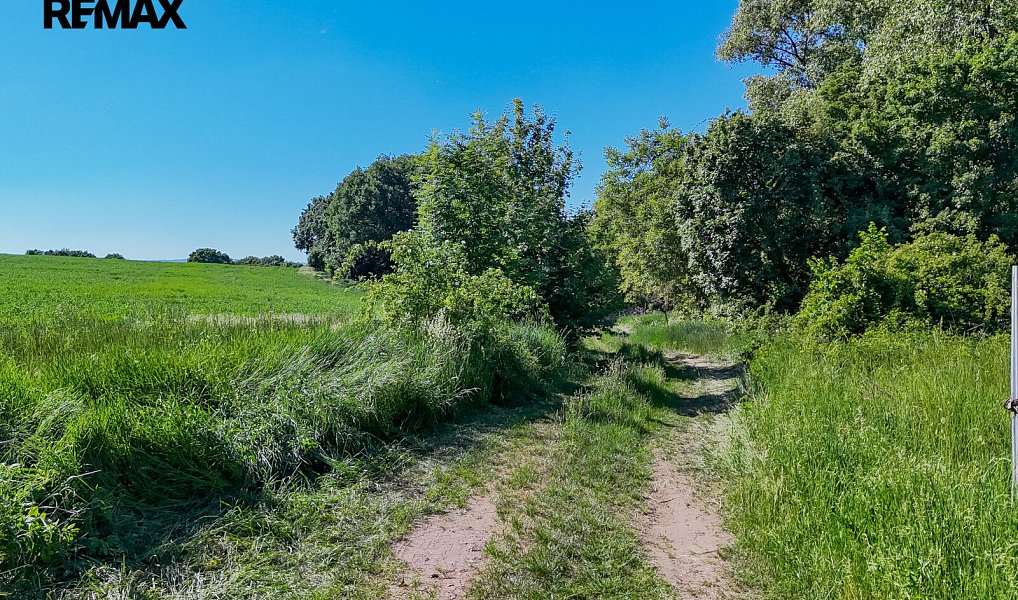 Prodej lesa 5 841 m², Skršín – náhled fotky 28