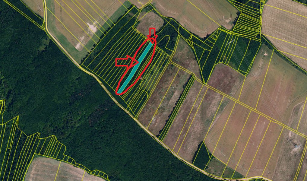 Prodej lesa 3 133 m², Vémyslice – náhled fotky 2