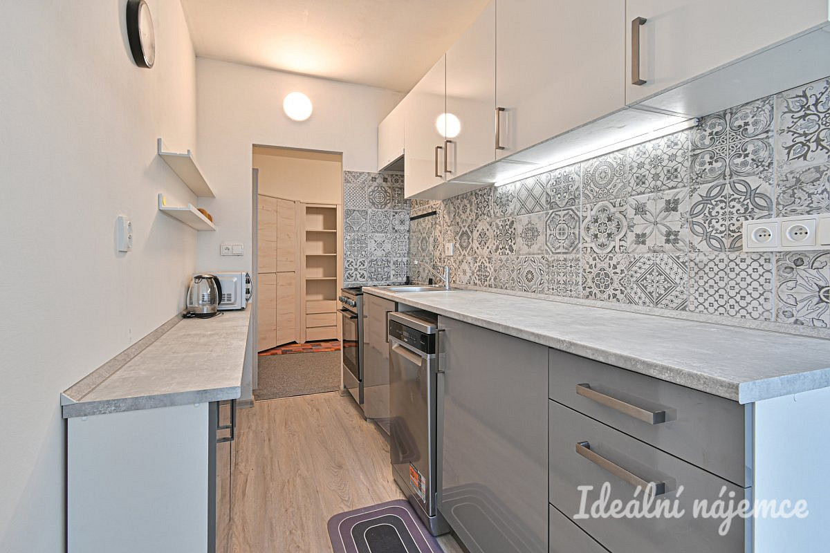 Pronájem bytu 2+1 50 m² – fotografie 2