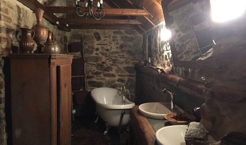 Prodej chaty/chalupy 300 m² s pozemkem 4 419 m², Stráž nad Ohří – náhled fotky 3