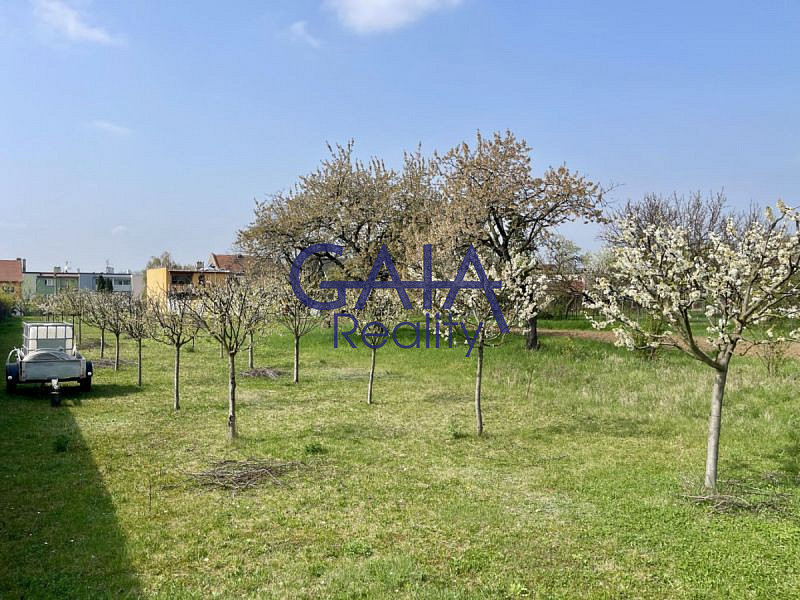 Prodej zahrady 867 m² – fotografie 4