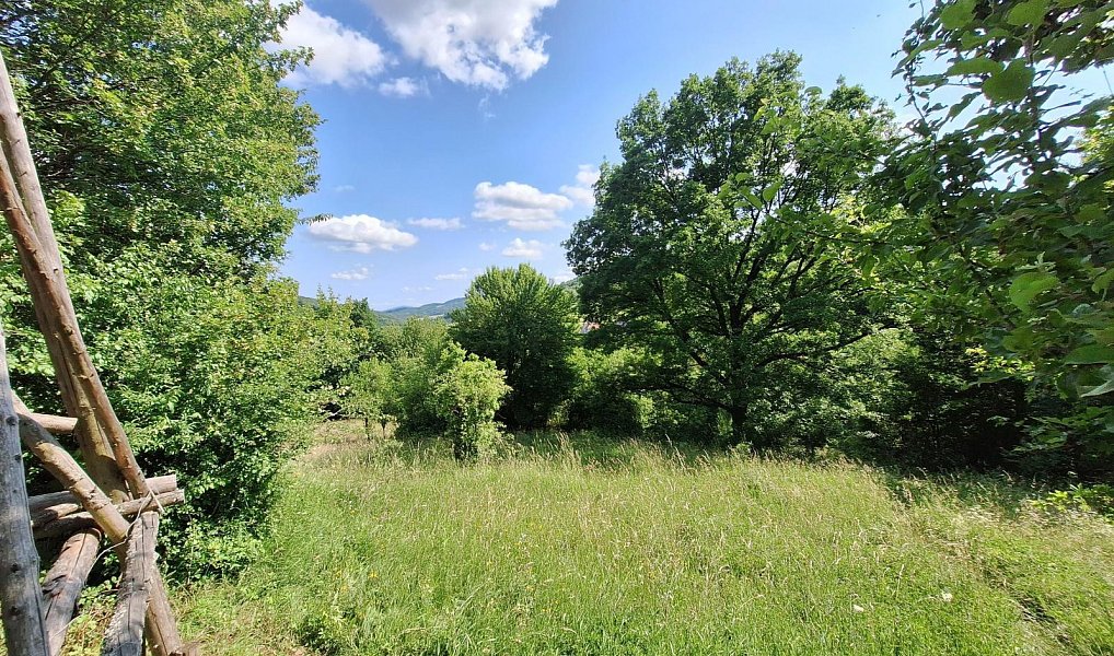 Prodej domu 80 m² s pozemkem 18 929 m², Žítková – náhled fotky 7