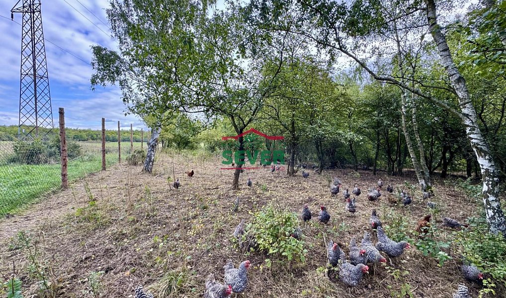 Prodej komerčního pozemku 10 231 m², Litvínov – náhled fotky 9
