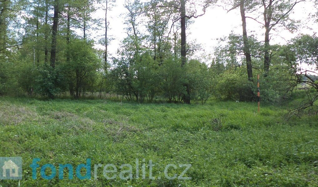 Prodej pozemku 1 844 m², Dětmarovice – náhled fotky 4