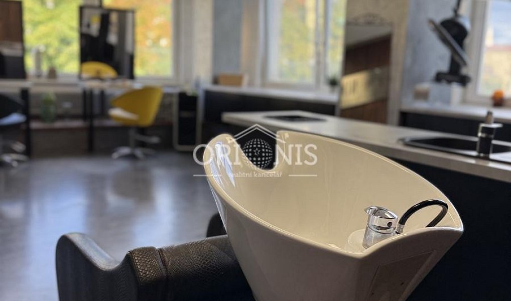 Prodej komerčního objektu (jiného typu) 70 m², Chomutov – náhled fotky 14