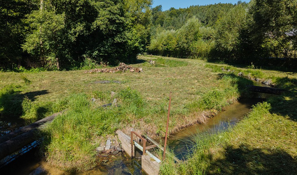 Prodej vodní plochy 8 295 m², Nové Hrady – náhled fotky 7
