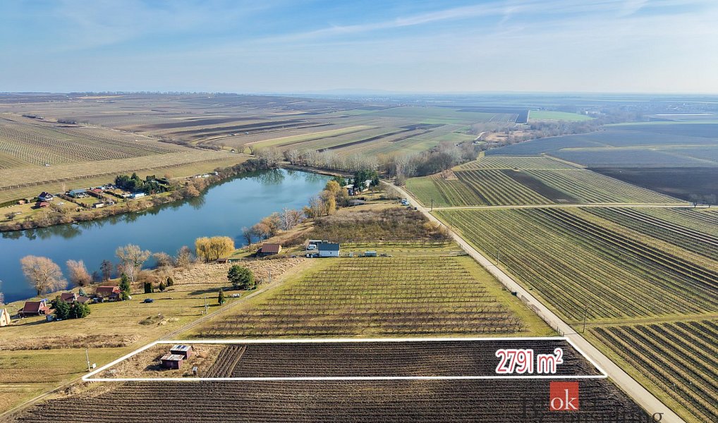 Prodej pozemku 2 791 m², Velké Bílovice – náhled fotky 7