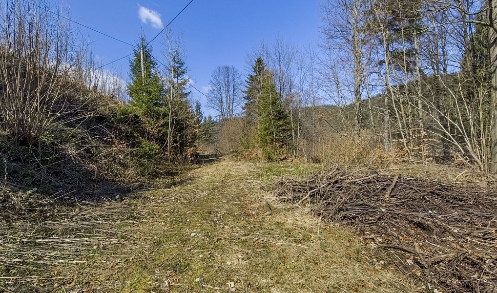 Prodej stavebního pozemku 5 025 m², Horní Bečva – náhled fotky 21