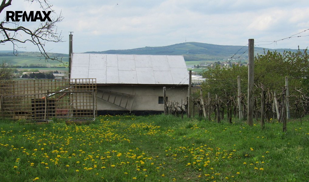 Prodej chaty/chalupy 20 m² s pozemkem 1 684 m², Kyjov – náhled fotky 17