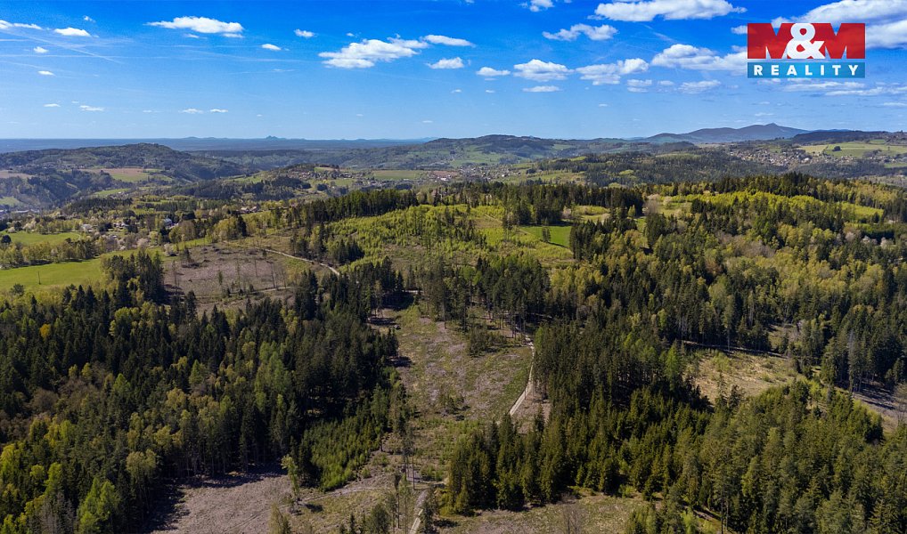Prodej lesa 11 203 m², Železný Brod – fotka 1 z 8