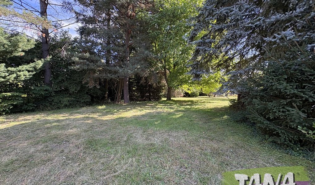 Prodej domu 78 m² s pozemkem 2 686 m², Vítězná – náhled fotky 6