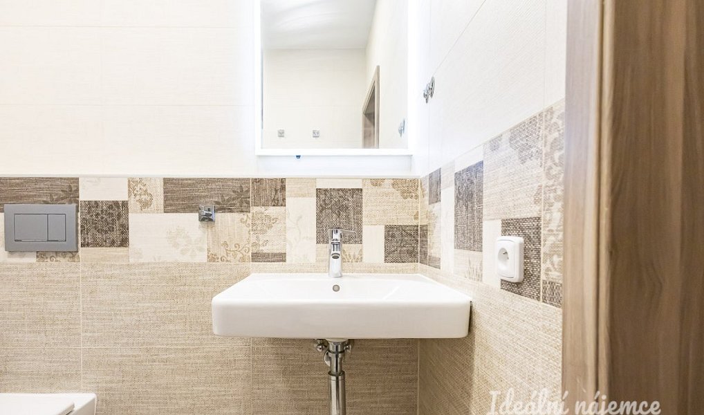 Pronájem bytu 1+kk 38 m², Praha – náhled fotky 13