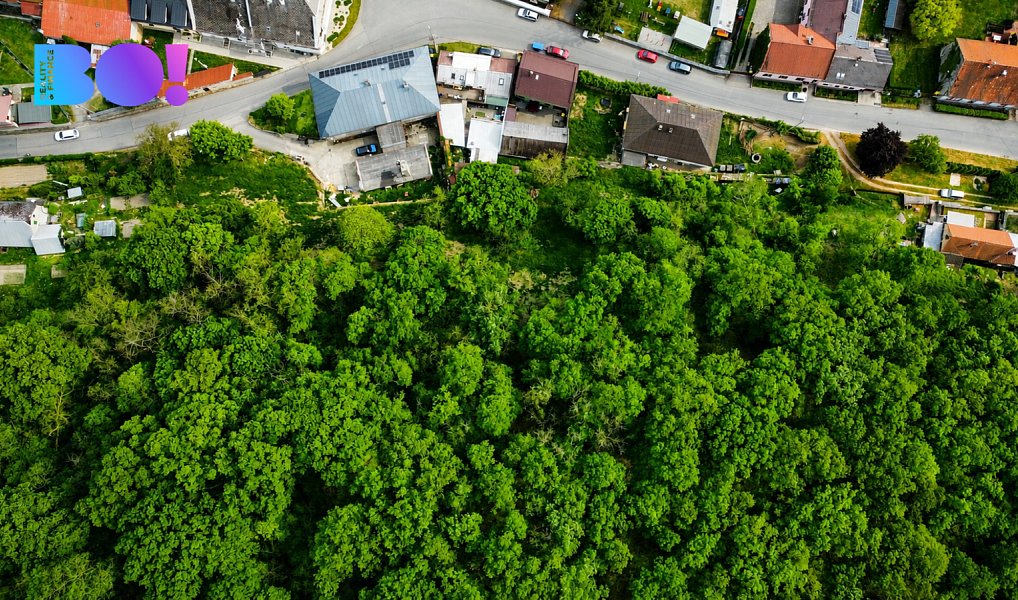 Prodej zahrady 2 495 m², Veselíčko – náhled fotky 2